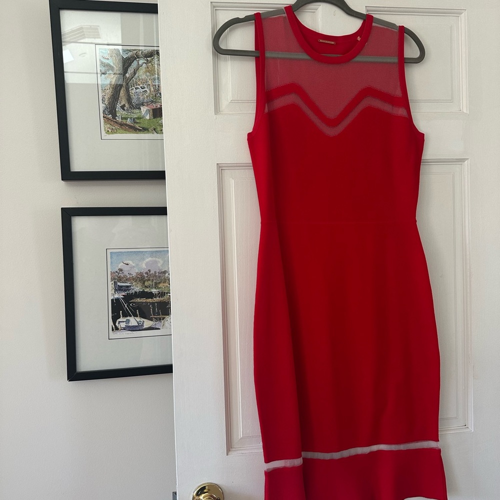Elegant Red Sleeveless Dress
